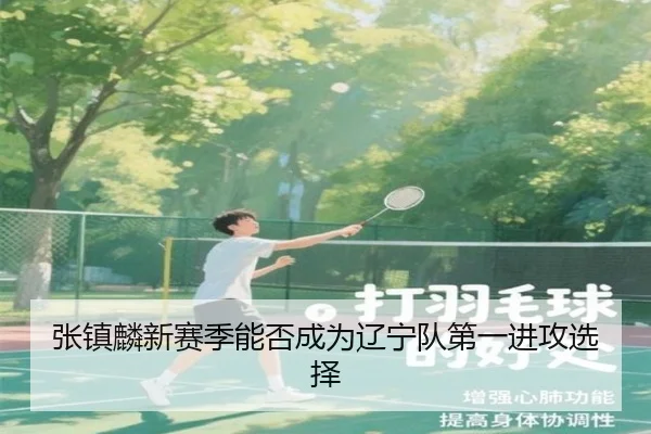张镇麟新赛季能否成为辽宁队第一进攻选择